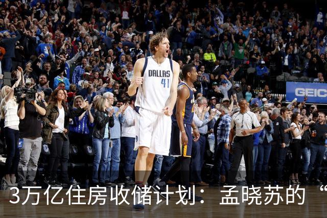 3万亿住房收储计划：孟晓苏的“中储房”究竟在救市还是开发商？